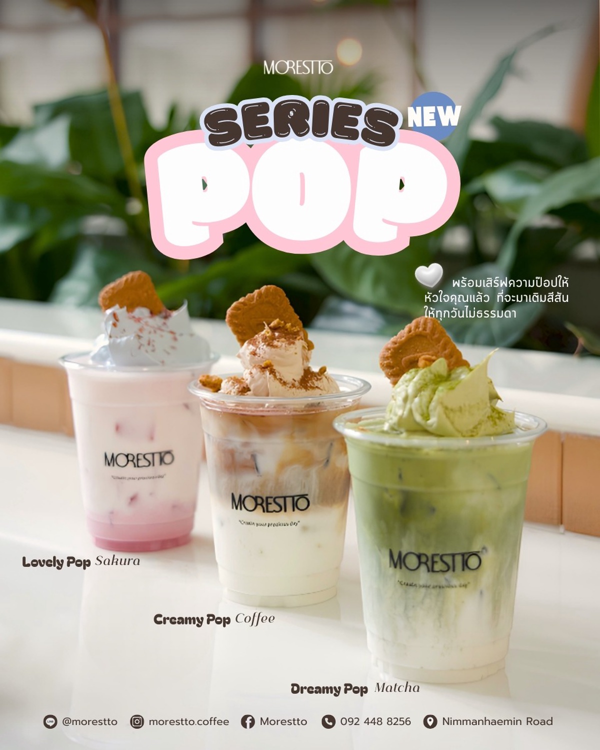 NEW POP SERIES ✨ เติมความป็อปให้หัวใจทุกวัน 🌸☕🍵
