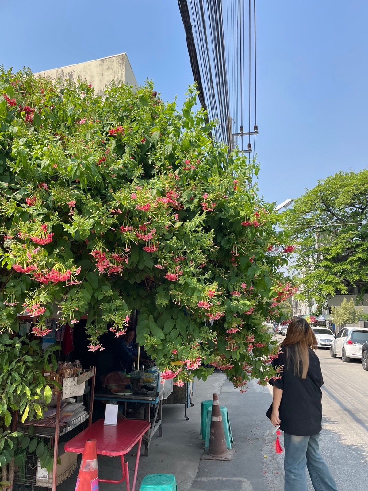 ร้านขนมจีนลุงพงษ์